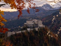 Photowalk - Hohenwerfen Castle - Falconry Austria